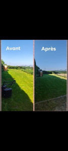 Photo de galerie - Tonte et débroussaillage, avec évacuation des déchets verts 