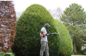 Photo de galerie - Paysagiste - Aménagement du jardin