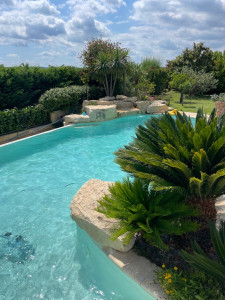 Photo de galerie - Arbuste 