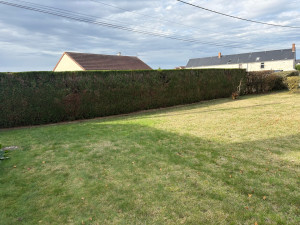 Photo de galerie - Taille de haies et d'arbustes