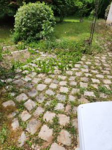 Photo de galerie - Jardinier