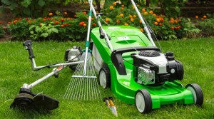 Photo de galerie - Bien tout