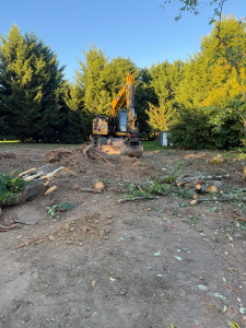 Photo de galerie - Enlèvement de souche 