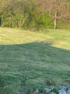 Photo de galerie - Tonte de parc