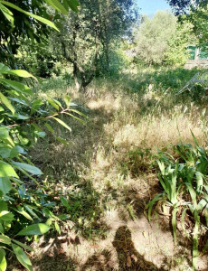 Photo de galerie - Jardinier