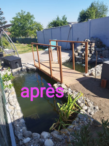 Photo de galerie - Bassin réaménagé par mes soins 