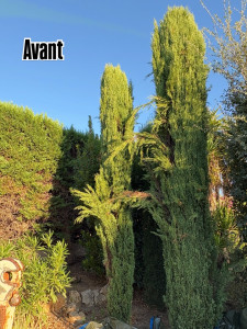 Photo de galerie - Paysagiste - Aménagement du jardin