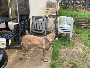 Photo de galerie - Visite à domicile 