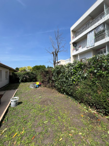 Photo de galerie - Mise à niveau de haies + taille