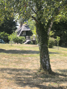 Photo de galerie - Taille de haies et d'arbustes