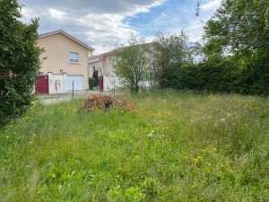 Photo de galerie - Tonte de pelouse - Débroussaillage