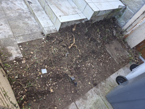 Photo de galerie - Jai arracher une haie de 2mettre 