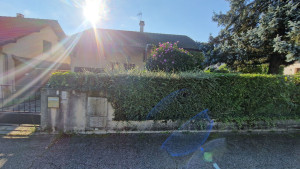 Photo de galerie - Avant la taille 