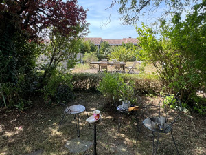 Photo de galerie - Apres la taille 