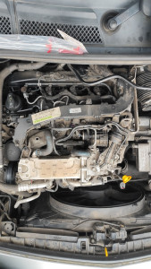 Photo de galerie - Remplacement de la vanne EGR sur une Mercedes B 200