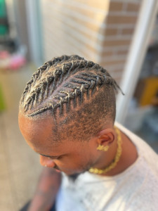 Photo de galerie - Twist Locks tresse