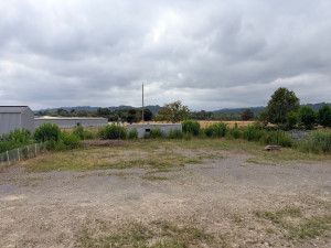 Photo de galerie - Tonte de pelouse - Débroussaillage