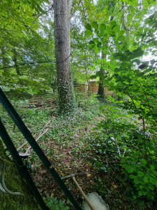 Photo de galerie - Clôture Grillage