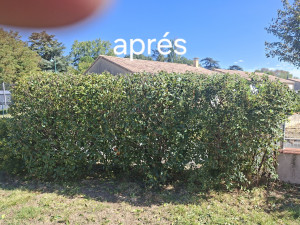 Photo de galerie - Coupe haies