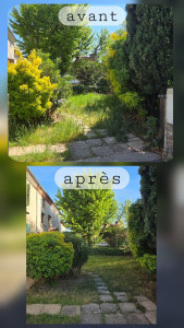 Photo de galerie - Avant / après 