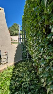 Photo de galerie - 40 metres de long / 4 metres de haut 2 côte 