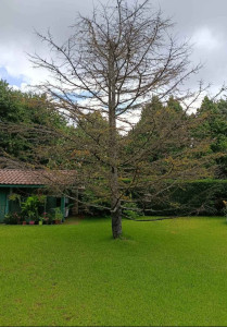 Photo de galerie - Avant 