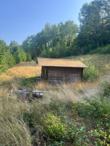 Photo de galerie - Avant tonte 