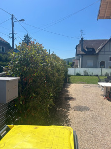 Photo de galerie - Plantation d’une haie de photinia