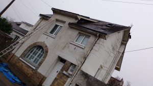 Photo de galerie - Peinture - Tapisserie