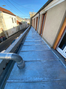 Photo de galerie - Zingue