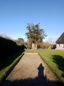 Photo de galerie - APRÈS 