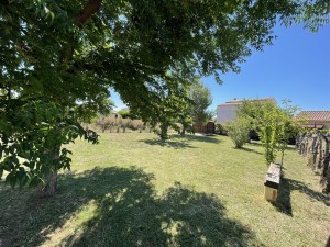 Photo de galerie - Tonte de pelouse