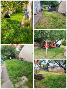 Photo de galerie - Missions effectuées: Désherbage, Taille des arbres, Débroussaillage, Remise à niveau d'un terrain