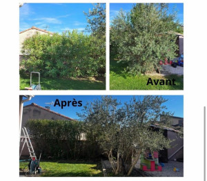 Photo de galerie - TAILLE ET MISE EN FORME 