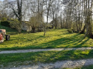 Photo de galerie - Tonte de pelouse - Débroussaillage