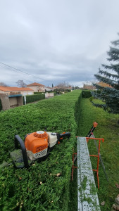 Photo de galerie - Taille de haie