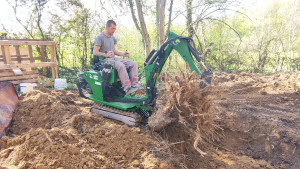 Photo de galerie - Elagage et coupe d'arbres