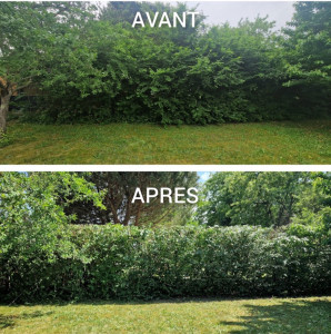 Photo de galerie - Avant après