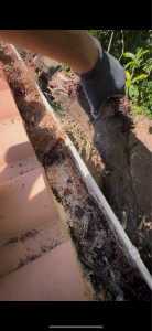 Photo de galerie - Nettoyage de gouttières très encrassé 