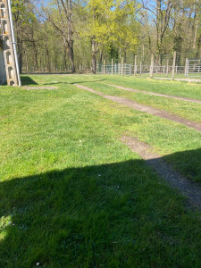 Photo de galerie - Tonte de pelouse - Débroussaillage