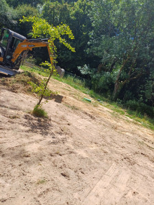 Photo de galerie - Nettoyage d'un terrain avant la mise en place de la terre végétale.