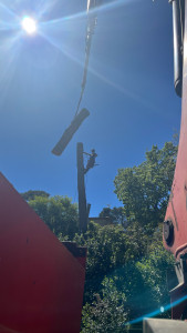 Photo de galerie - Avec grue 