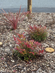 Photo de galerie - Paysagiste - Aménagement du jardin