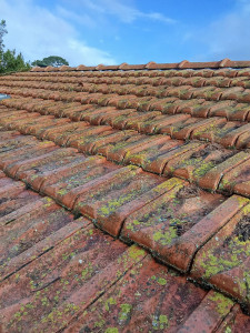 Photo de galerie - Couverture - Toiture