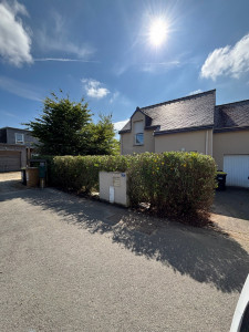 Photo de galerie - Rabattage de haie mixte 
