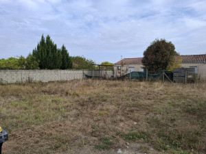 Photo de galerie - Tonte de pelouse - Débroussaillage