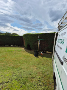 Photo de galerie - Une haie bien taillée, c’est un jardin plus net, plus accueillant et facile à entretenir.
? Contactez-moi dès aujourd’hui pour redonner à vos haies toute leur beauté — je m’occupe de tout !