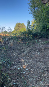 Photo de galerie - Paysagiste - Aménagement du jardin