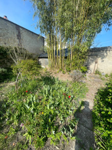 Photo de galerie - Nettoyage d’un jardin au complet 
