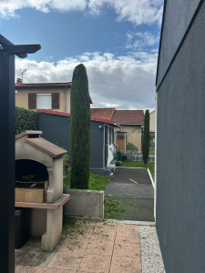 Photo de galerie - Taille de cyprès 